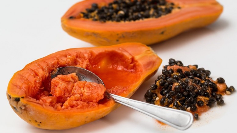 Papaya, Papayakerne gegen Durchfall